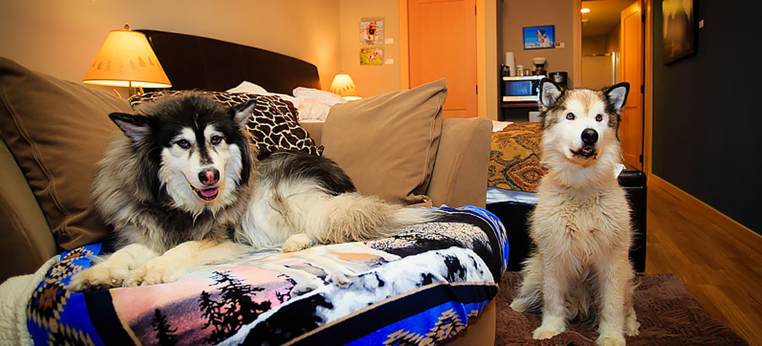 Shuksan_Shasta_Twisp_River_Suites_March2015-3