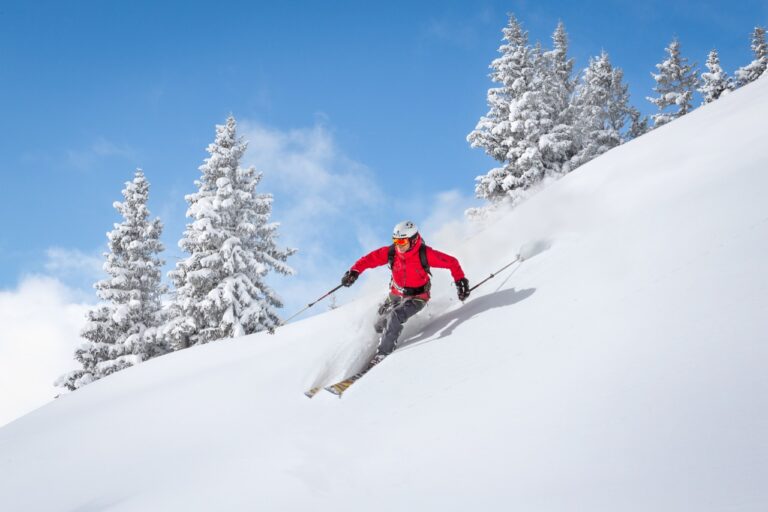 AdobeStock_133435902 Large