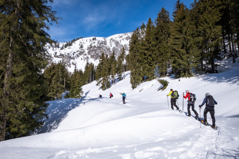 AdobeStock_252929929 Large