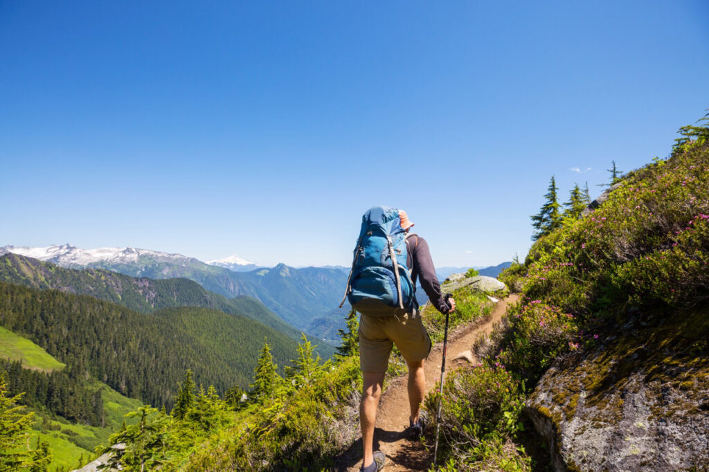 AdobeStock_430349697 Large