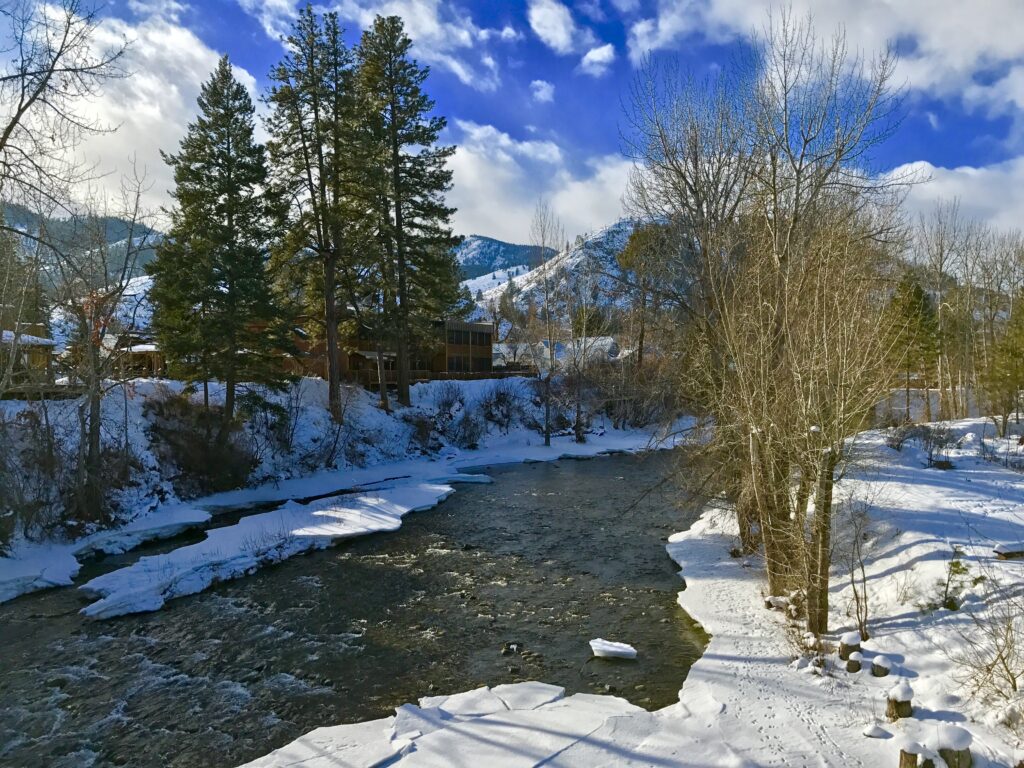 IMG_0081