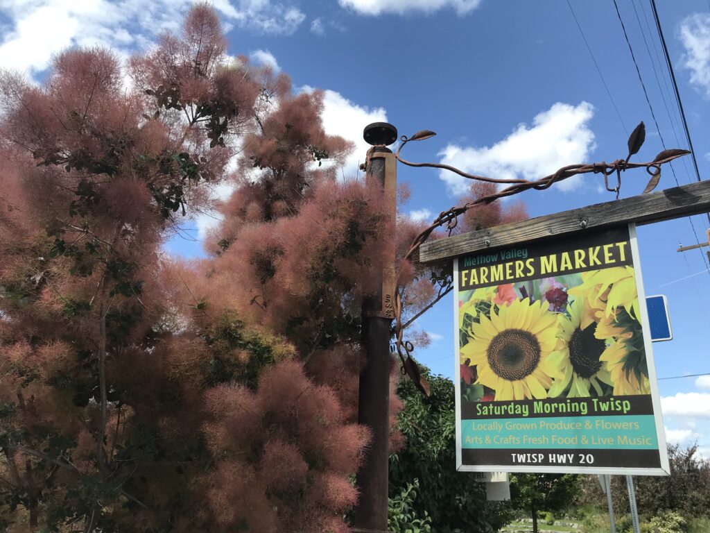 preview-image-view-blue-sky-sign-tree