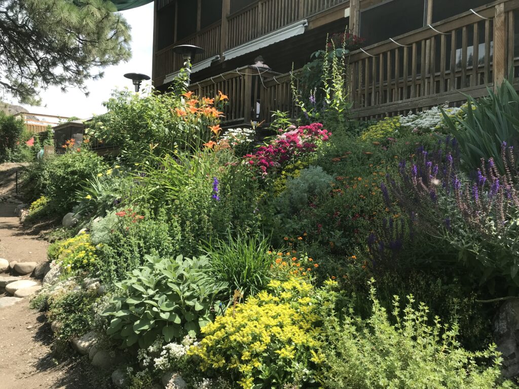 preview-image-flowers-greenery-outside-building
