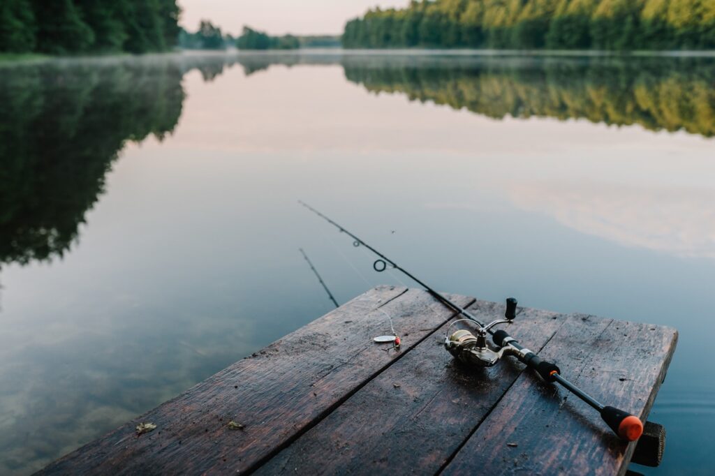 AdobeStock_242597321 Large